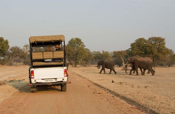 Game Drive in Mosi-Oa-Tunya National Park