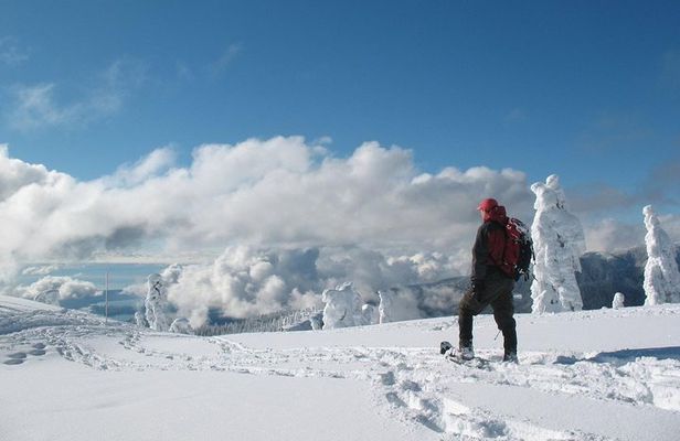 Snowshoeing at Crystal Mountain by Mount Rainier