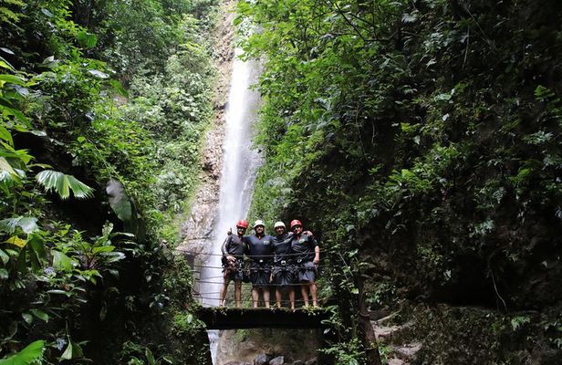 Pure Trek Rainforest & Rafting Class II & III