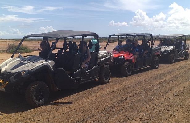 Buggy Tours in Curacao
