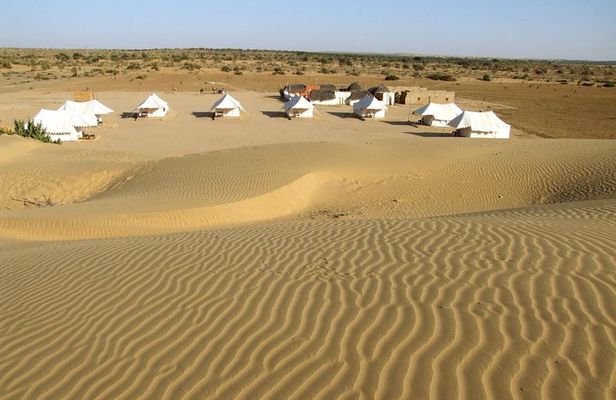 A Night in Thar Desert – Unforgettable Luxury Camel Safari