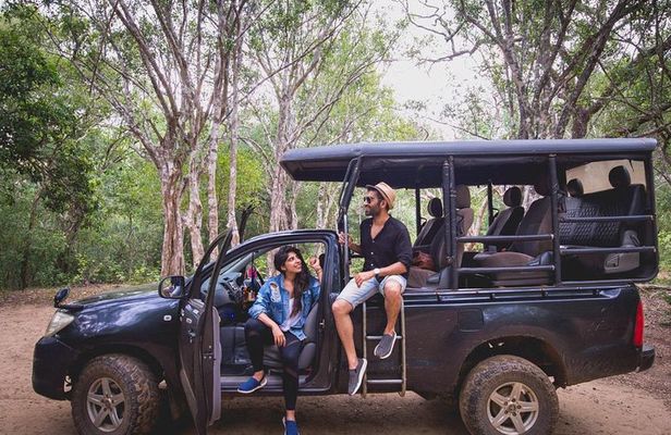 Half Day Safari at Yala National Park From Kataragama