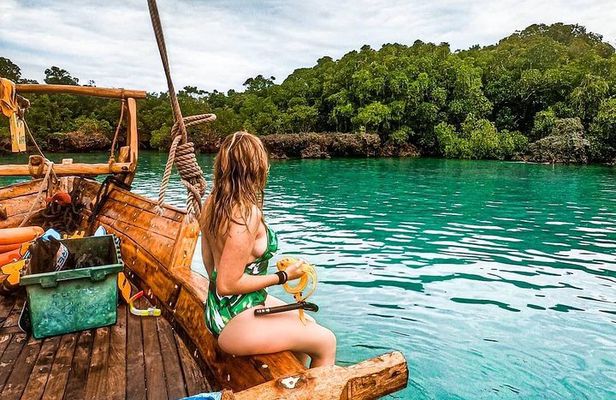 Unforgettable ocean safari experience