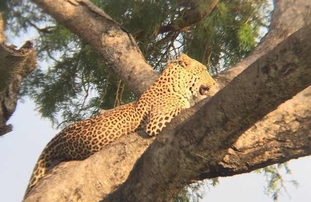 Three days escape to Queen Elizabeth National park