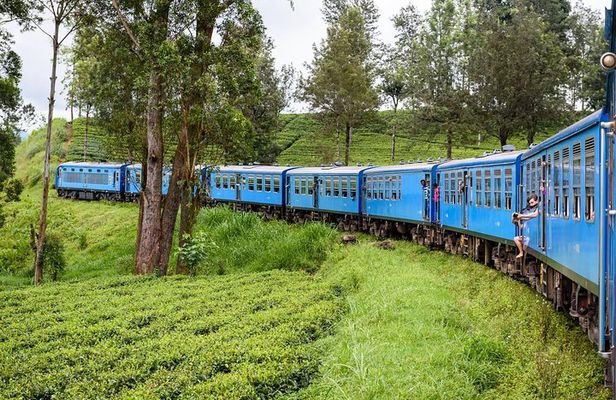 4 Days Tour to Kandy, Sigiriya & Nuwara Eliya