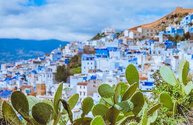 Day trip to Chefchaouen and Akchor water falls