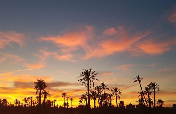 the best Camel ride exp in desert of Marrakech 