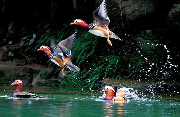 4-Day Zhangjiajie Tour to All Highlight Attractions with VIP Lift