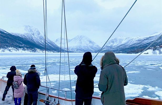 Tromso Luxury Sailing Yacht Polar Fjord Cruise with Lunch