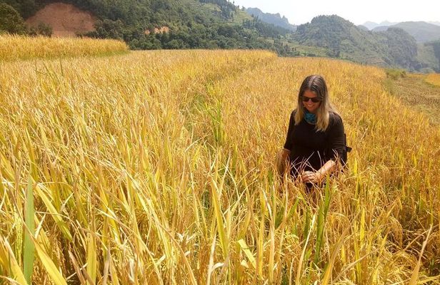 Ha Giang loop 3 or 4 Days, Small Group Tour (within easy riders)