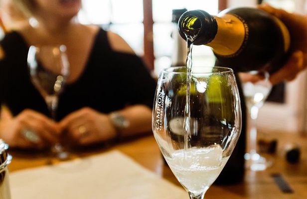 Padua Wine Tasting Walk