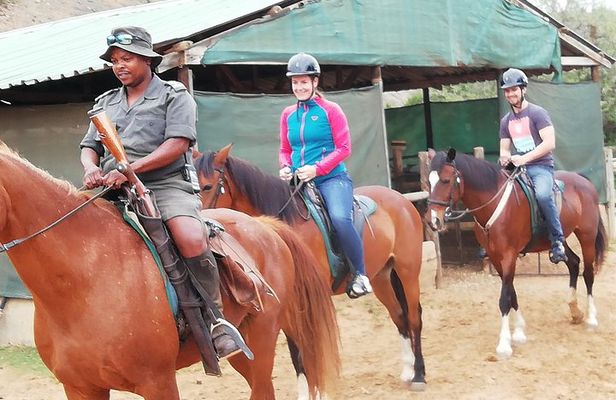 Addo Elephant Safari and Horseback Riding in Addo Combo