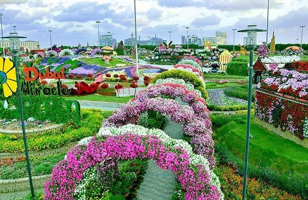 Dubai Miracle Garden with private round trip transfers