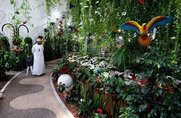 Dubai Miracle & Butterfly Garden Tour with private round trip transfers