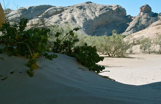 Swakop River Valley & Spitzkoppe Full Day 4x4 tour from Walvis Bay