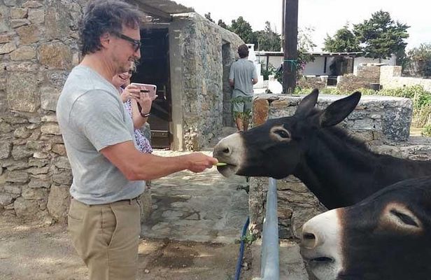 Visit the Mykonian Farm in Mykonos