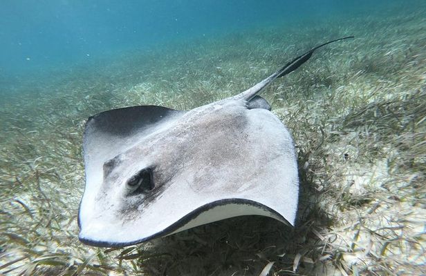 Second largest Barrier Reef Adventure