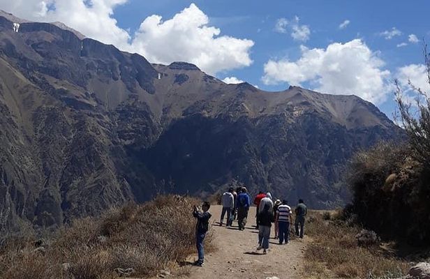 Colca Full Day