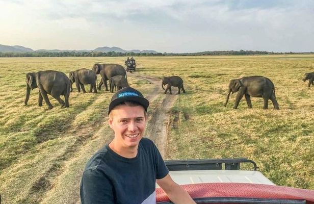 Half Day Minneriya National Park Safari from Dambulla