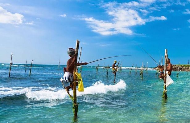 Galle day tour