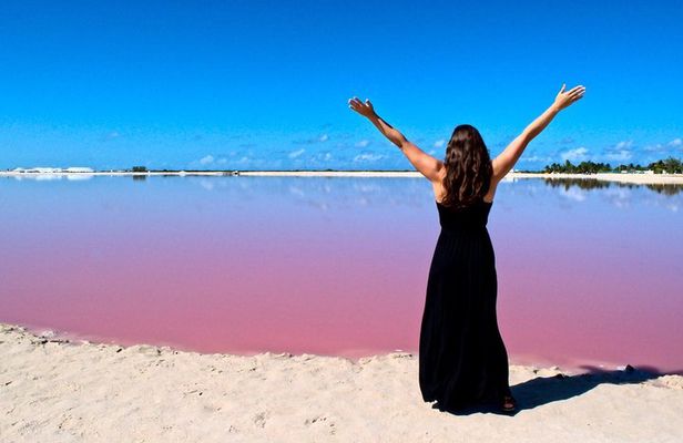 Las Coloradas & Rio Lagartos, Beautiful Eco Adventure from Tulum City