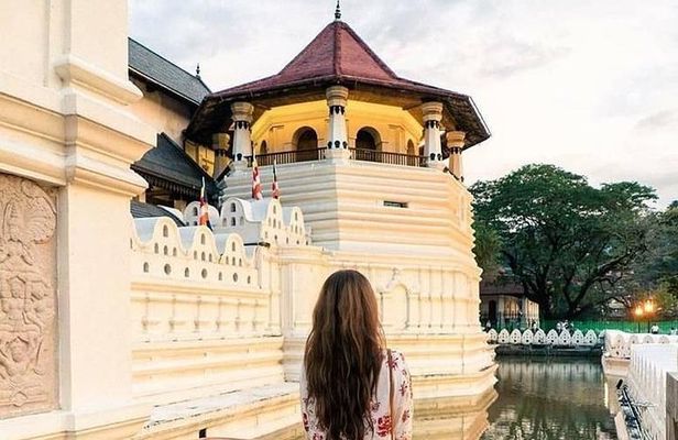 Kandy Sightseeing Day Tour from Colombo (All Inclusive)