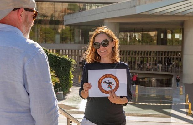 Acropolis SKIP-THE-LINE Tickets Private Tour with Licensed Guide
