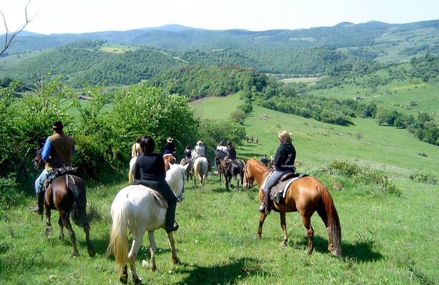 Horse riding excursion