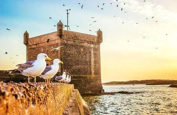 Day trip to Essaouira ( portugal city ) from agadir