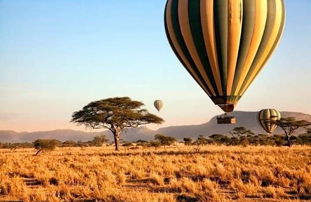5days Tarangire,Serengeti,ngorongoro Crater and Lake Manyara National park