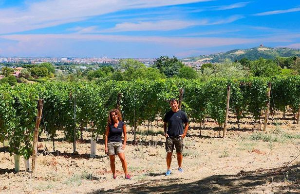 Winetour and tasting on Bologna hills, guided by the wine grower