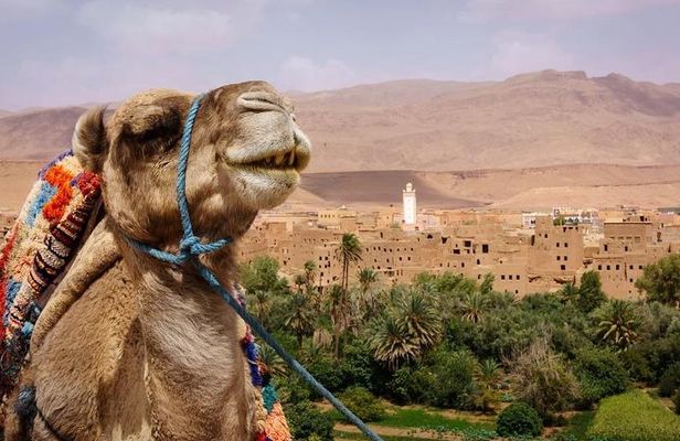 Ait ben haddou and Ouarzazate day trip from Marrakech
