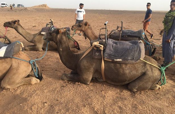 Marrakech to Zagora 2 Days Desert Tour