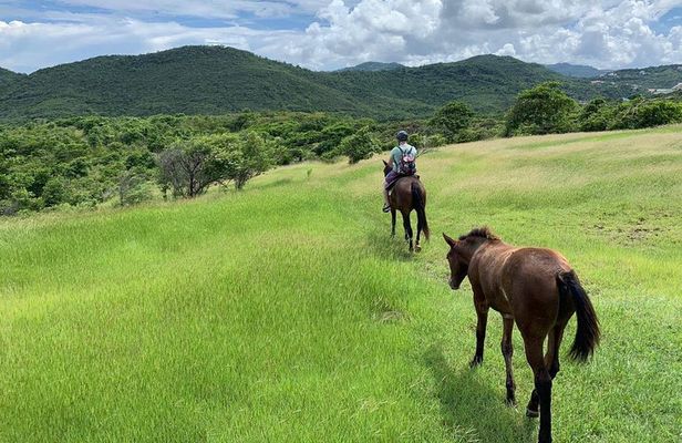 Private Advanced Horseback Beach Ride with Sandy Hoofs St. Lucia