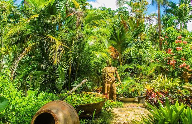 Barbados Botanical Tour