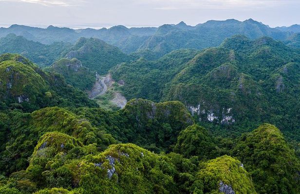 Full day hiking in Jungle of Cat Ba National park