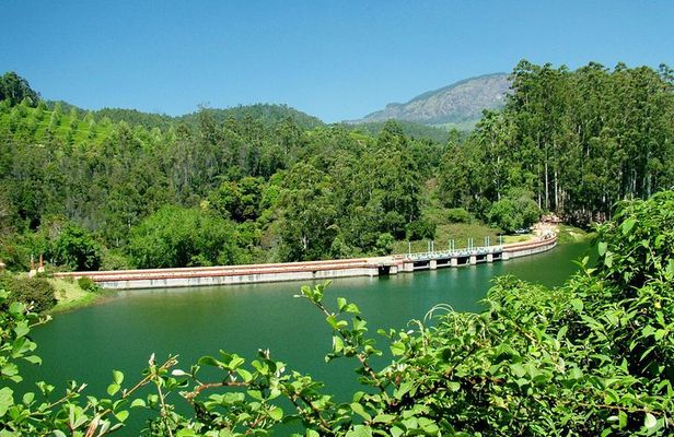 Munnar Site-seeing Tour