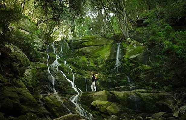 Skeleton Gorge to Table Mountain summit