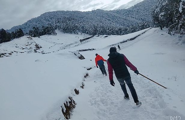 Nagtibba Trek (Dehradun to Dehradun)