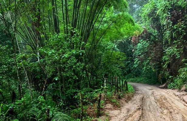 Minca - Coffee And Cocoa Tour 