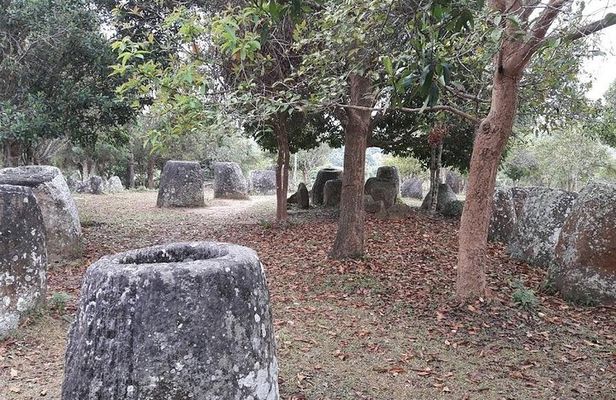 Plain of jars tour with local guide