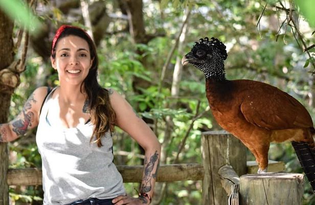 Cartagena private aviary tour