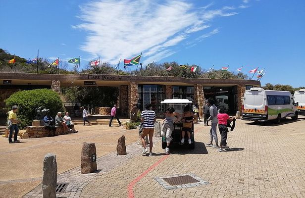 From CapeTown:TableMountain Private,Penguins&C.of Good Hope Tour 