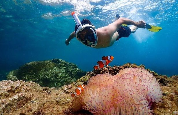 Nemo Island Experience with Drone Photos and Lunch