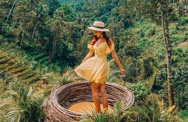 Ubud Jungle Swing - Monkey Forest - Water Temple - Waterfall