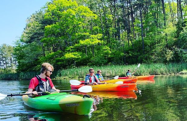Cape Cod Explorer Tour