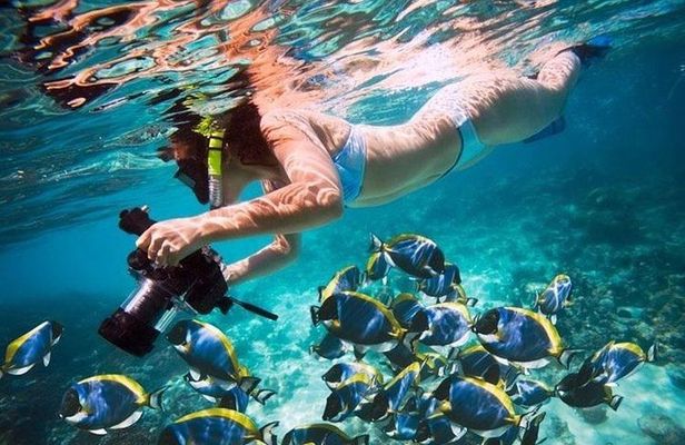 Private Speedboat Dolphin House Sea Trip with Transfer - Hurghada