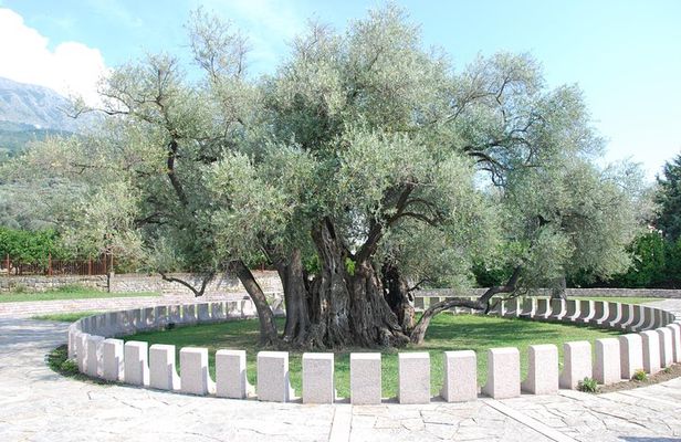 Port of Bar tour - Explore Adriatic area - Bar and Ulcinj tour