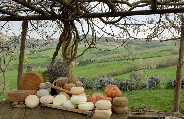 Pecorino Cheese di Pienza Tour