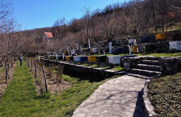 Gastronomy and Sightseeing in Montenegro - Lake Skadar & Cetinje Private Tour